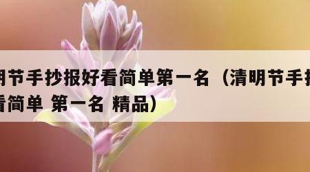 清明节手抄报好看简单第一名（清明节手抄报好看简单 第一名 精品）