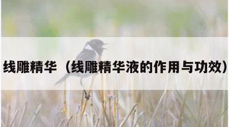 线雕精华（线雕精华液的作用与功效）
