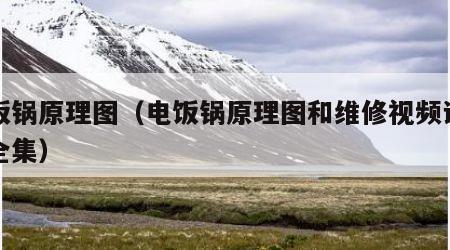 电饭锅原理图（电饭锅原理图和维修视频讲解大全集）