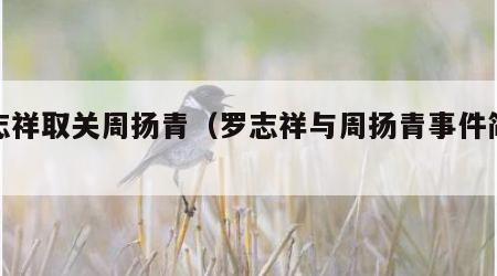 罗志祥取关周扬青（罗志祥与周扬青事件简介）