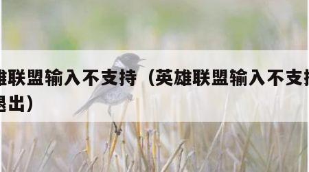 英雄联盟输入不支持（英雄联盟输入不支持怎么退出）