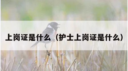 上岗证是什么（护士上岗证是什么）