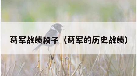 葛军战绩段子（葛军的历史战绩）