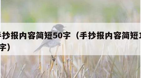 手抄报内容简短50字（手抄报内容简短100字）