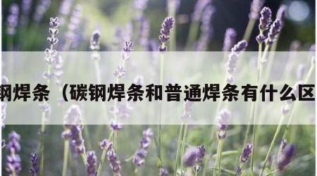 碳钢焊条（碳钢焊条和普通焊条有什么区别）
