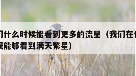 我们什么时候能看到更多的流星（我们在什么时候能够看到满天繁星）