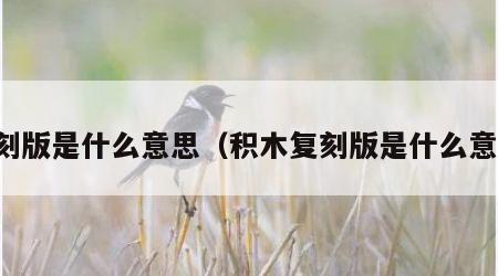 复刻版是什么意思（积木复刻版是什么意思）