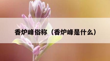 香炉峰俗称（香炉峰是什么）