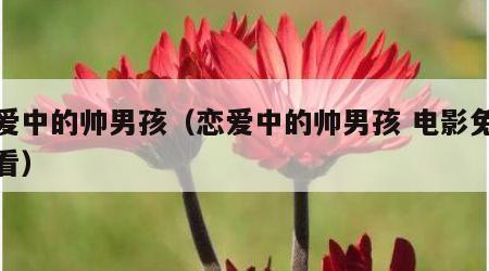 恋爱中的帅男孩（恋爱中的帅男孩 电影免费观看）