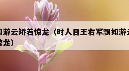 飘如游云矫若惊龙（时人目王右军飘如游云矫若惊龙）
