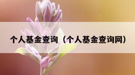 个人基金查询（个人基金查询网）