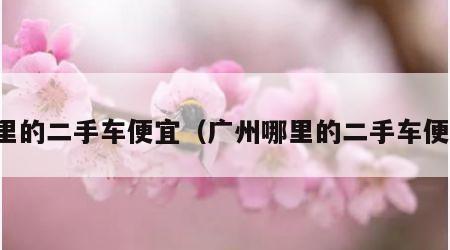 哪里的二手车便宜（广州哪里的二手车便宜）