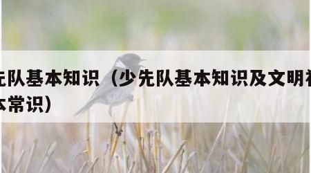少先队基本知识（少先队基本知识及文明礼仪基本常识）