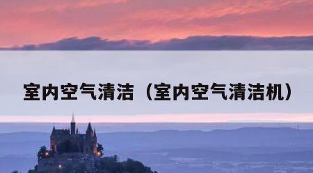 室内空气清洁（室内空气清洁机）