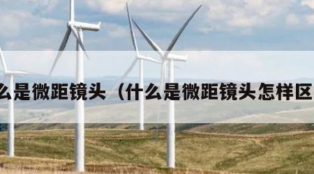 什么是微距镜头（什么是微距镜头怎样区分）