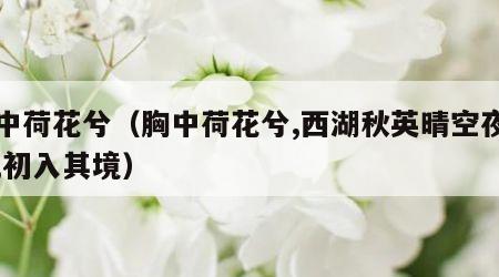胸中荷花兮（胸中荷花兮,西湖秋英晴空夜明兮,初入其境）