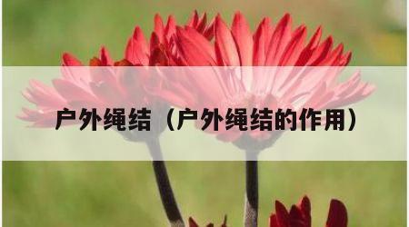 户外绳结（户外绳结的作用）
