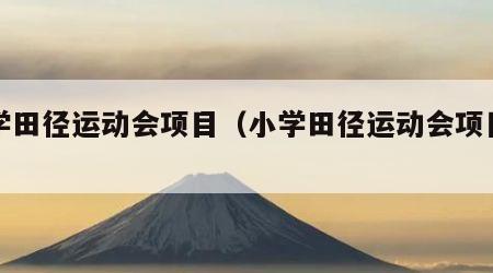 小学田径运动会项目（小学田径运动会项目设计）
