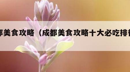 成都美食攻略（成都美食攻略十大必吃排行榜）