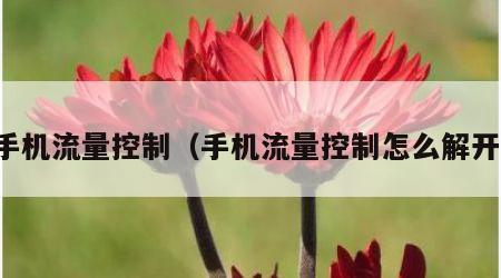 手机流量控制（手机流量控制怎么解开）