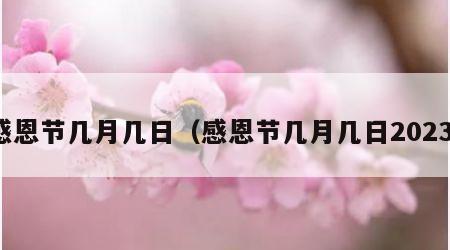 感恩节几月几日（感恩节几月几日2023）