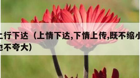 上行下达（上情下达,下情上传,既不缩小,也不夸大）