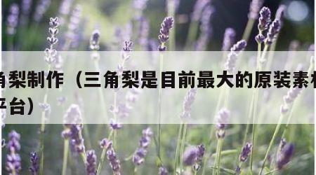 三角梨制作（三角梨是目前最大的原装素材分享平台）