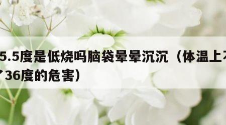 35.5度是低烧吗脑袋晕晕沉沉（体温上不了36度的危害）