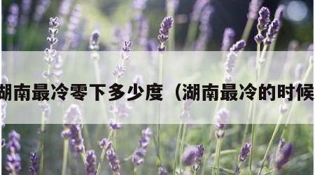 湖南最冷零下多少度（湖南最冷的时候）