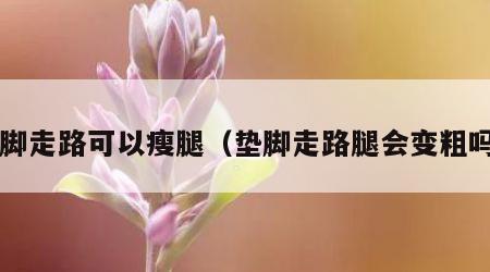 垫脚走路可以瘦腿（垫脚走路腿会变粗吗?）