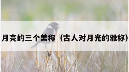 月亮的三个美称（古人对月光的雅称）