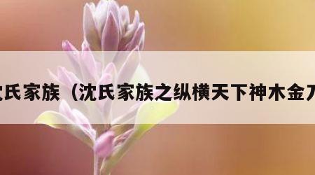 沈氏家族（沈氏家族之纵横天下神木金刀）