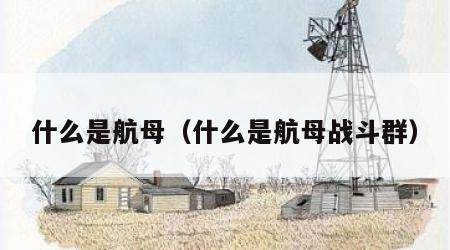 什么是航母（什么是航母战斗群）