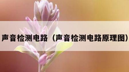 声音检测电路（声音检测电路原理图）