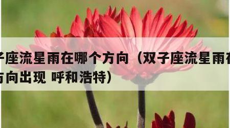 双子座流星雨在哪个方向（双子座流星雨在哪个方向出现 呼和浩特）