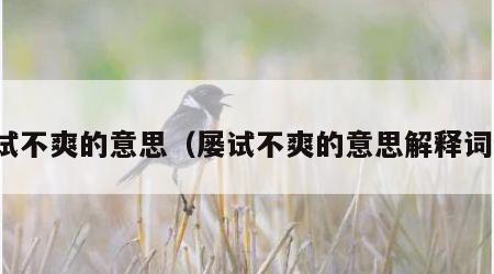 屡试不爽的意思（屡试不爽的意思解释词语）