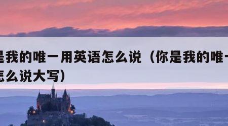 你是我的唯一用英语怎么说（你是我的唯一英语怎么说大写）