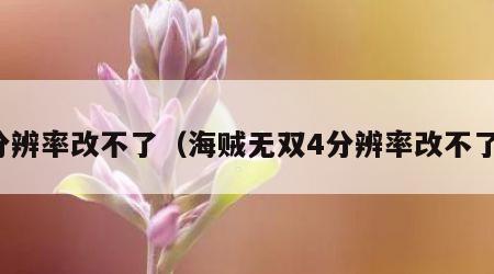 分辨率改不了（海贼无双4分辨率改不了）