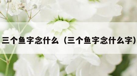 三个鱼字念什么（三个鱼字念什么字）
