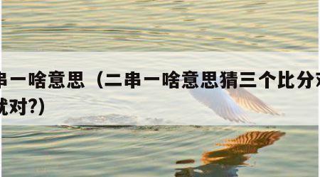 二串一啥意思（二串一啥意思猜三个比分对一个就对?）
