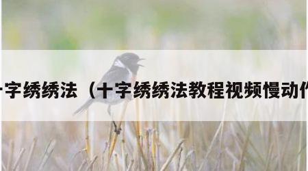 十字绣绣法（十字绣绣法教程视频慢动作）