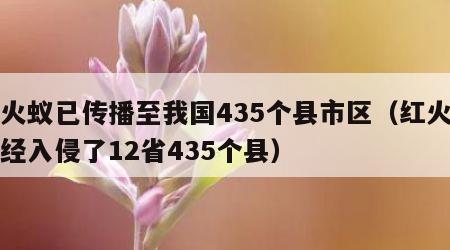 红火蚁已传播至我国435个县市区（红火蚁已经入侵了12省435个县）