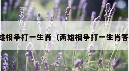 两雄相争打一生肖（两雄相争打一生肖答案）