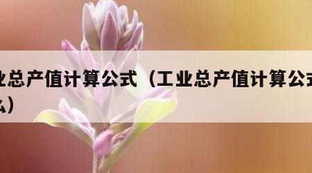 工业总产值计算公式（工业总产值计算公式是什么）