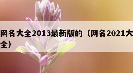网名大全2013最新版的（网名2021大全）