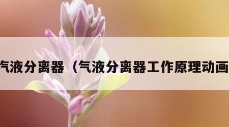 汽液分离器（气液分离器工作原理动画）