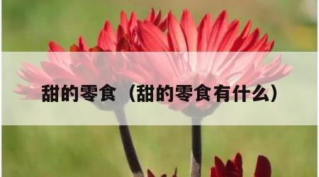 甜的零食（甜的零食有什么）