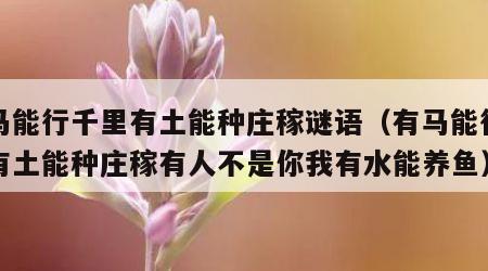 有马能行千里有土能种庄稼谜语（有马能行千里有土能种庄稼有人不是你我有水能养鱼）