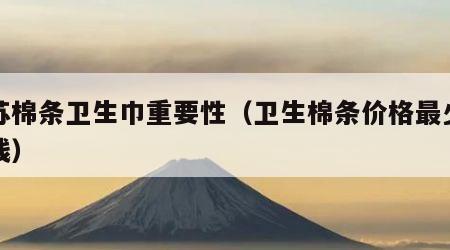 江苏棉条卫生巾重要性（卫生棉条价格最少多少钱）