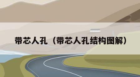 带芯人孔（带芯人孔结构图解）